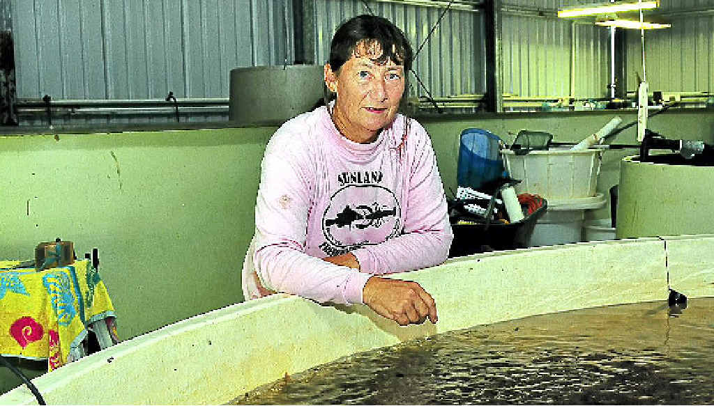 Gwen Gilson at her Boreen Point fish hatchery. Gwen Gilson at her Boreen Point fish hatchery.